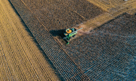 Futuro Agrícola: Los Drones que están Transformando la Agricultura