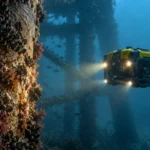 Drones vs. ROV: qué cambia realmente cuando pasamos del aire al agua